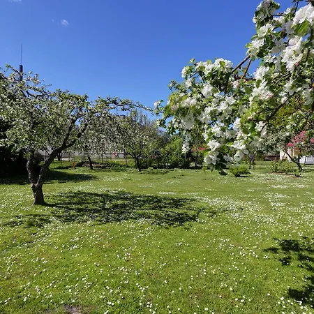 Siili Holiday House Prázdninový dům Haapsalu